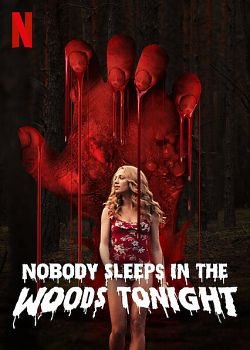 gktorrent Nobody Sleeps in the Woods Tonight FRENCH WEBRIP 720p 2020